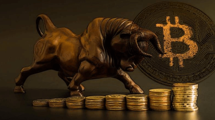 Le balene accumulano Bitcoin e nuove meme coin: la bull run è in arrivo?