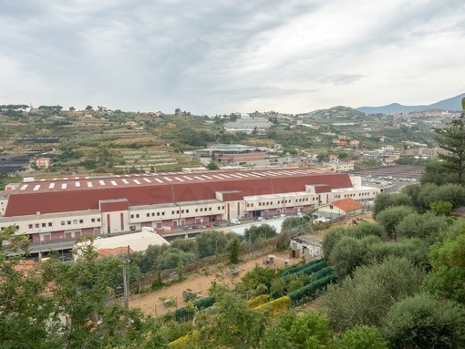 Il Mercato dei Fiori di valle Armea