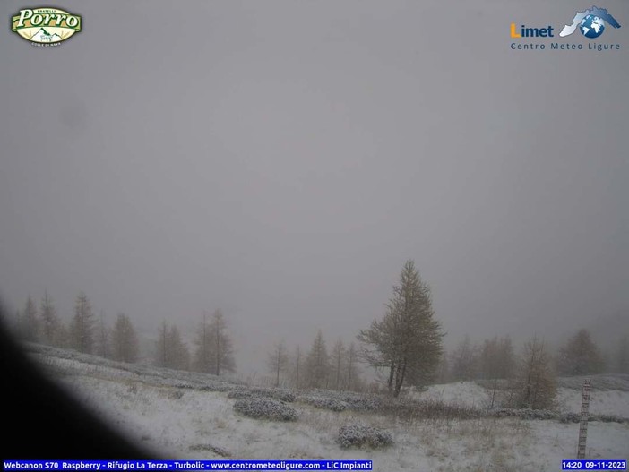 Fiocchi di neve imbiancano Monesi e il Monte Saccarello