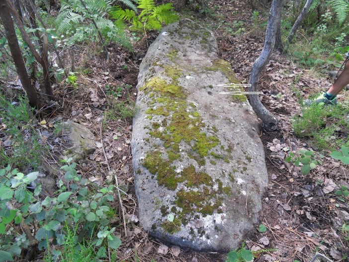 Bordighera, Eremita (Archeonervia): &quot;Scoperto un menhir tra i boschi di Montenero&quot;