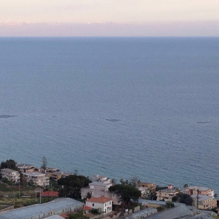 Sanremo: tre chiazze scure avvistate in mare di fronte alle spiagge dei 'Tre Ponti', sono piccole meduse