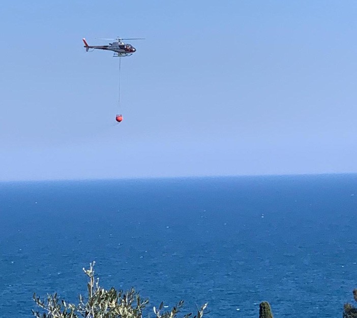 Imperia, rogo su capo Berta: elicottero, vigili del fuoco e volontari per contenere l'incendio