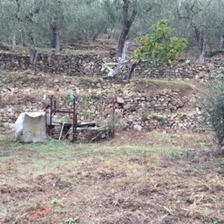 Un muretto a secco dell'entroterra ligure