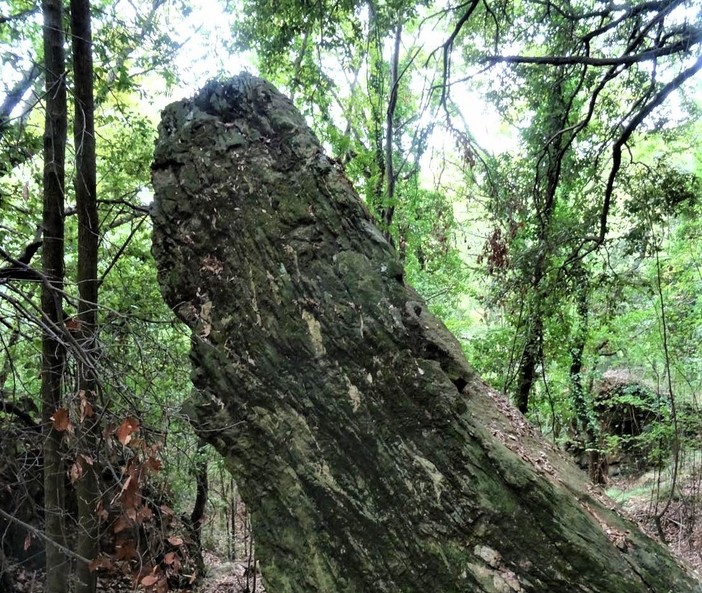 Rocchetta Nervina, in località Paù scoperto un menhir in bilico che saluta la nascita del sole