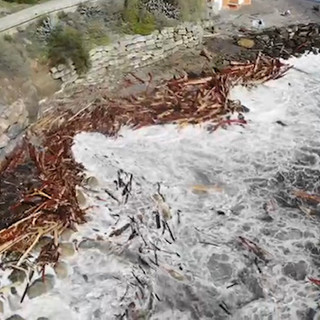 Emergenza maltempo, San Lorenzo al Mare: la minoranza chiede al sindaco di intervenire subito per liberare le spiagge dai detriti lignei (Foto)