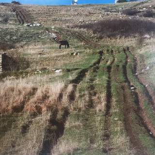 Divieto transito mezzi a motore sui sentieri del Monte Faudo, il Comune di Dolcedo si unisce all’appello del Sindaco di Pigna