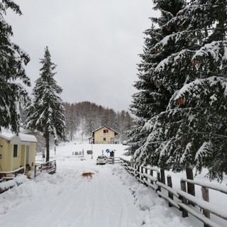 Lo spettacolo della neve a Colle Melosa: il manto bianco si posa sulla natura e incanta gli occhi