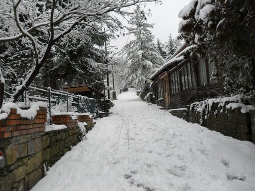 Le foto di un lettore sull'abbondante nevicata che si è verificata a San Romolo, sulle alture di Sanremo