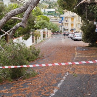 Ospedaletti, la quiete dopo la tempesta: &quot;In corso qualche intervento, ma il peggio è passato&quot; (Foto)