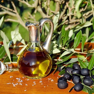 La raccolta delle olive in Liguria: periodi e tecniche