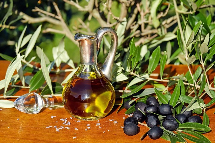 La raccolta delle olive in Liguria: periodi e tecniche