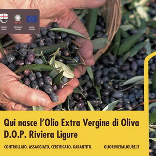 Pannelli segnaletici dell'Olio DOP Riviera Ligure a 58 Comuni della Liguria