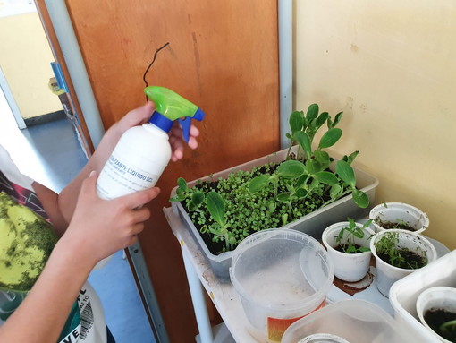 Pieve di Teco: le cinque classi della Scuola Primaria a lezione di orticoltura (foto)