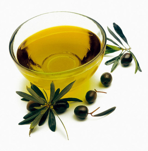 Imperia: la raccolta delle olive per la DOP Riviera Ligure è iniziata, e anche quest’annata farà storia