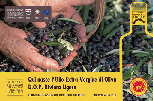 Pannelli segnaletici dell'Olio DOP Riviera Ligure a 58 Comuni della Liguria