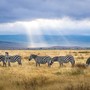 Parchi Nazionali della Tanzania: guida completa per un safari indimenticabile