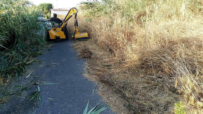 San Bartolomeo al Mare: Egea ha pulito la strada lungo l'argine dello Steria (foto)