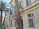 Bordighera mette a dimora nuove palme Phoenix dactylifera (Foto)