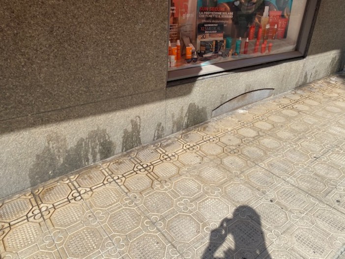 Sanremo: pipì dei cani in centro città, la segnalazione con foto di un lettore