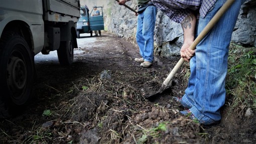 Triora: volontari in azione a Verdeggia, ripulite le cunette della strada provinciale