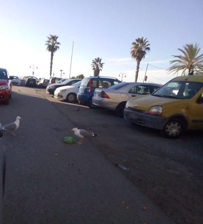 Ventimiglia, &quot;sporcizia e degrado nel parcheggio sul lungomare&quot;: la segnalazione