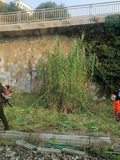 Cervo: rischio incendi, in via di completamento i lavori di pulizia dell'area RFI