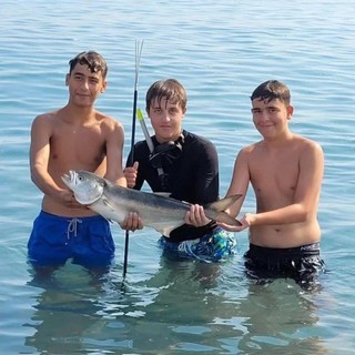 Pescato a Bordighera un pesce tropicale da 5kg: protagonisti tre giovani