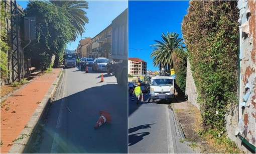 Ventimiglia, il maltempo fa crollare le bouganville: al via l'intervento di potatura e rimozione (Foto)