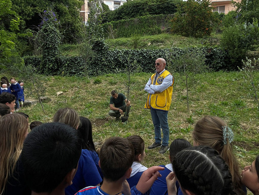 Sanremo, al giardino delle scuole primarie di via Panizzi la terza piantumazione a cura del Lions Club
