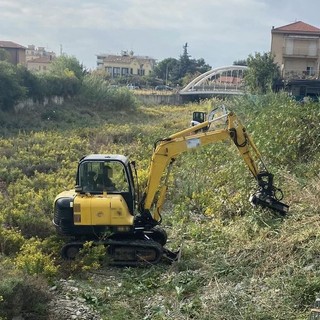 Vallecrosia, canne e vegetazione nel torrente: al via la pulizia del Verbone