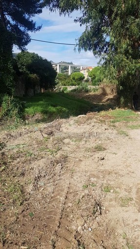 Ventimiglia: iniziati lavori di pulizia del rio Latte e rio Buonarroti affidati alla Feel Green (Foto)