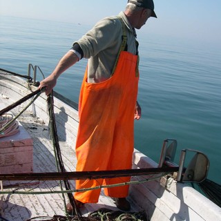 Pesca del rossetto: l'UE approva il rinnovo della deroga fino al 2027 per Liguria e Toscana