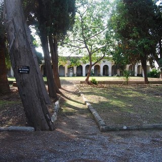 Sanremo: quattro cipressi nei cimiteri della Foce e di Poggio a rischio crollo, saranno abbattuti