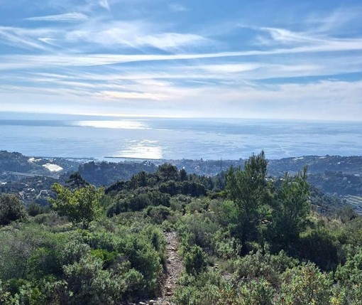 Ambiente: report dell'Arpal sulla qualità dell'aria in Liguria, in discesa i valori degli inquinanti misurati dalla rete di riferimento