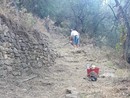 I sentieri di Civezza ripuliti dal gruppo Alpini della Valle di San Lorenzo
