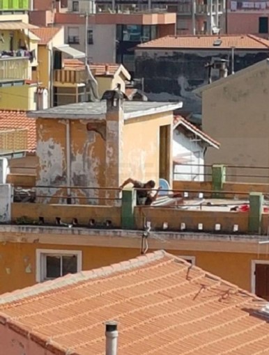 Ventimiglia: ex 'Pensione al mare' trasformata in bagno pubblico, il rammarico dei vicini costretti vedere questo spettacolo