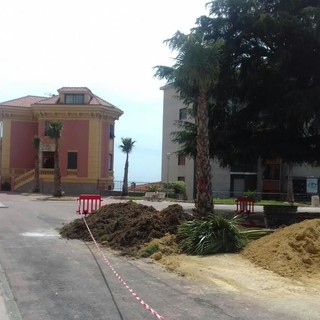 Imperia: prosegue l'intervento di piantumazione delle palme in piazza Roma e via XX Settembre