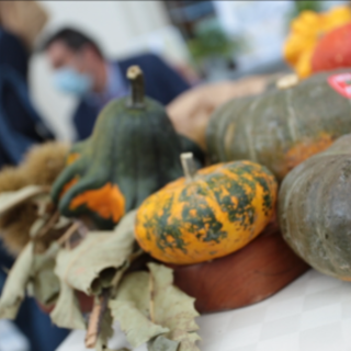 Autunno con Gusto non si ferma, a Piozzo è tempo di &quot;Zucca in cascina&quot;