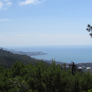 Sanremo: Festival dei Boschi 2020, la festa a San Romolo e al suo territorio