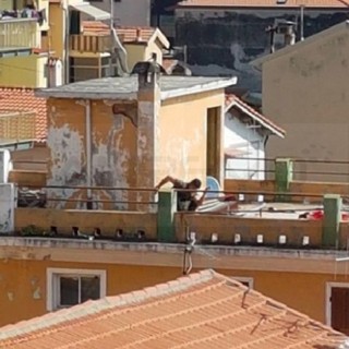 Ventimiglia: ex 'Pensione al mare' trasformata in bagno pubblico, il rammarico dei vicini costretti vedere questo spettacolo