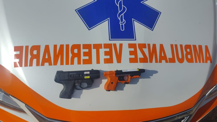 Animali aggressivi, Ambulanze Veterinarie si arma: avrà la pistola JPX Jet Protector (Foto)