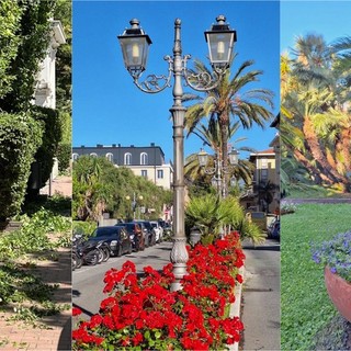 Bordighera al lavoro per il patrimonio del verde, Ingenito: &quot;Finanziati nuovi appalti&quot; (Foto)