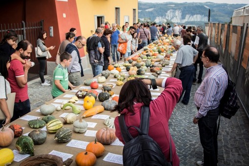 Torna la Fiera Regionale della Zucca di Piozzo, in provincia di Cuneo