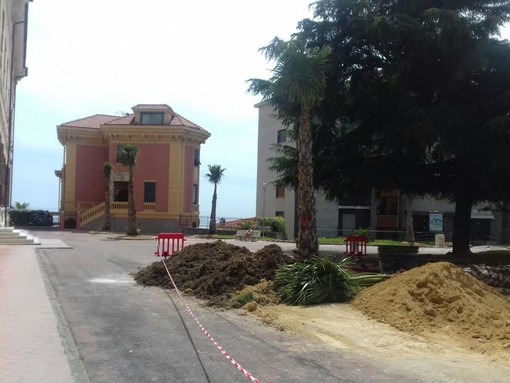 Imperia: prosegue l'intervento di piantumazione delle palme in piazza Roma e via XX Settembre