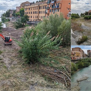 Ventimiglia, vegetazione e rifiuti nel fiume Roya: prosegue la pulizia (Foto)