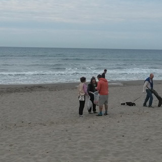 Anche viagra e preservativi scovati nelle spiagge della provincia dai volontari di M'Importa. La pulizia questa mattina