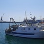 Pesca: Piana “Ue non può distruggere il settore, urgente difendere le attività della pesca italiana”