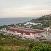 Il Mercato dei Fiori di Valle Armea