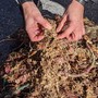 Bordighera, attiva la campagna di crowdfunding per recuperare le reti fantasma che soffocano il mare di Capo Sant’Ampelio