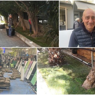 Una seconda vita a Sanremo per il green carpet del Festival, l'installazione salvata dall'assalto della gente